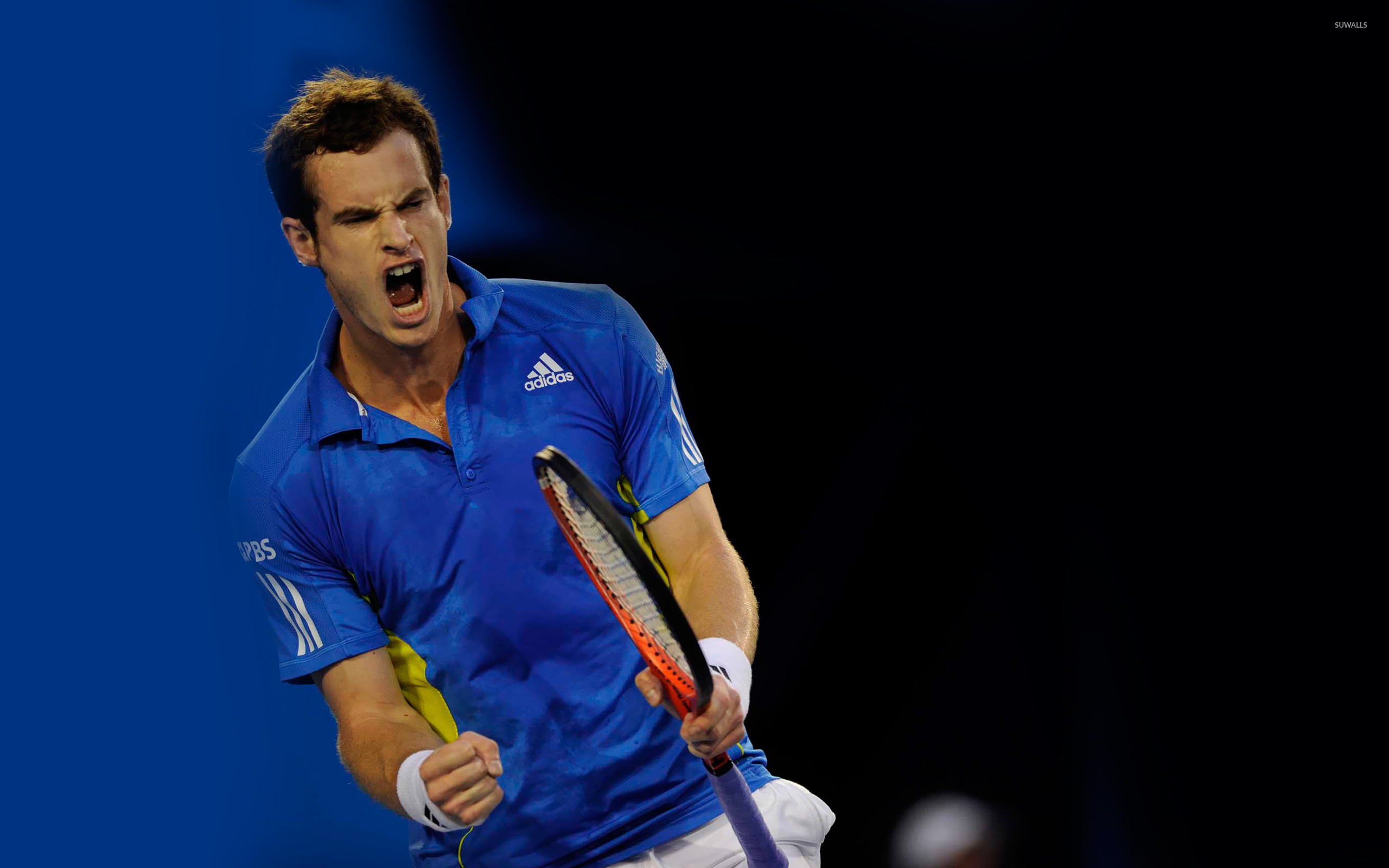 Andy Murray Tennis Wallpaper Sport