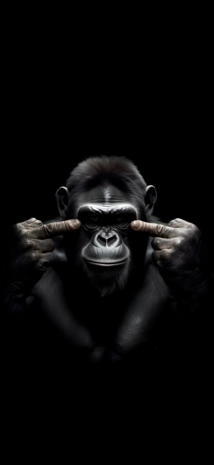 He On Funny Wallpaper