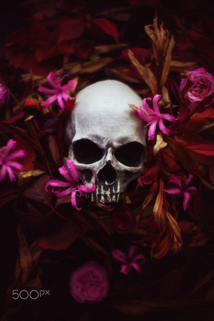 Artem Phoenix Skull Flowers Plants 500px Wallpaper HD