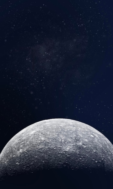 Premium Photo Wallpaper