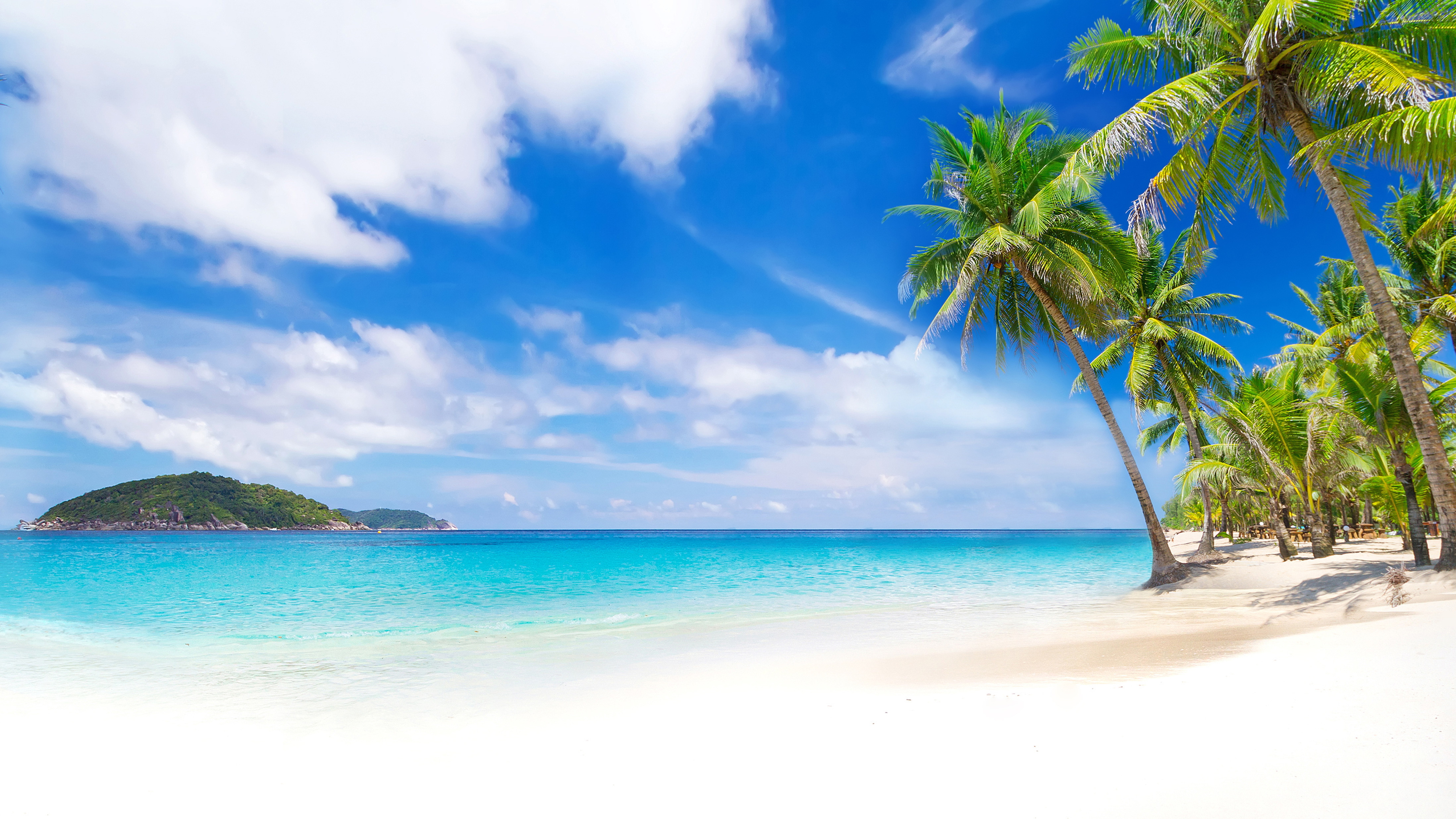 Summer 4k Ultra HD Wallpaper And