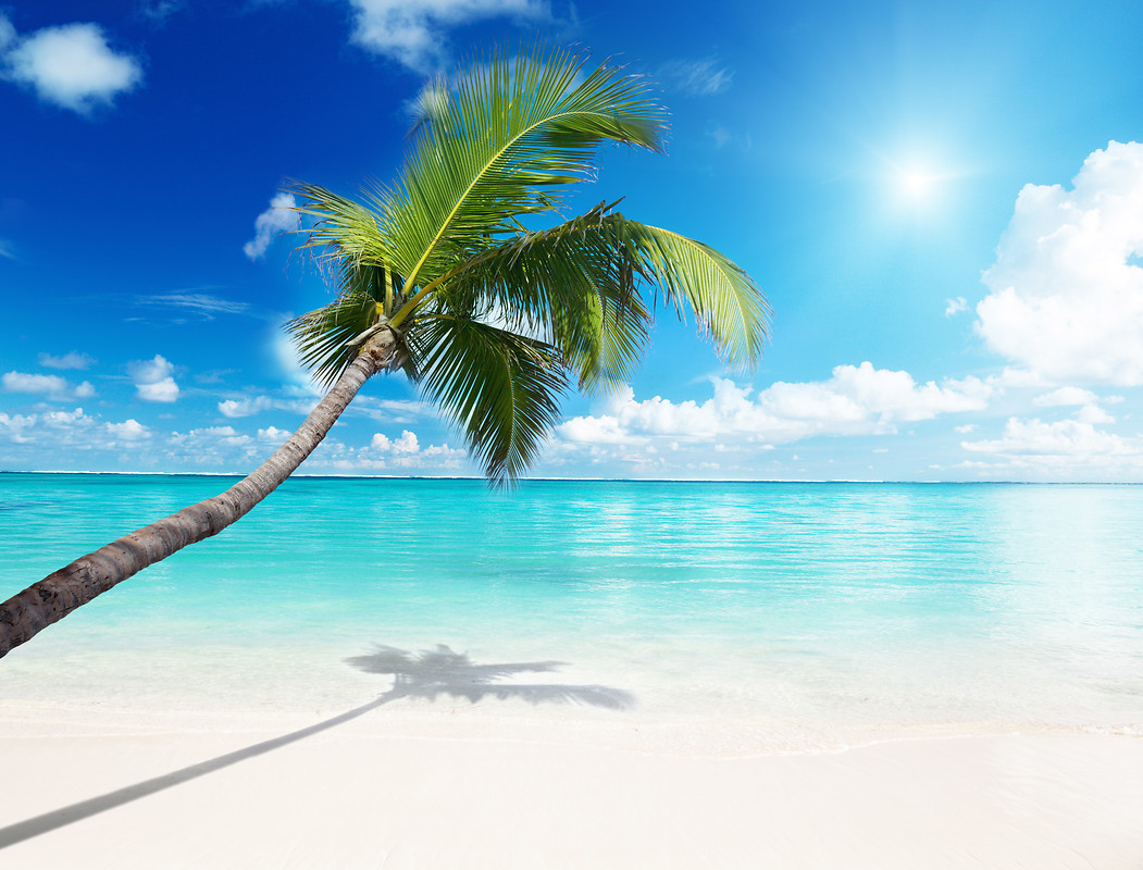 Tropical Paradise Free Wallpaper download   Download Free Tropical