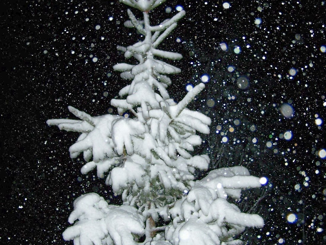  snow shadows by bluebird snowy countryside by gramag4 snowy night