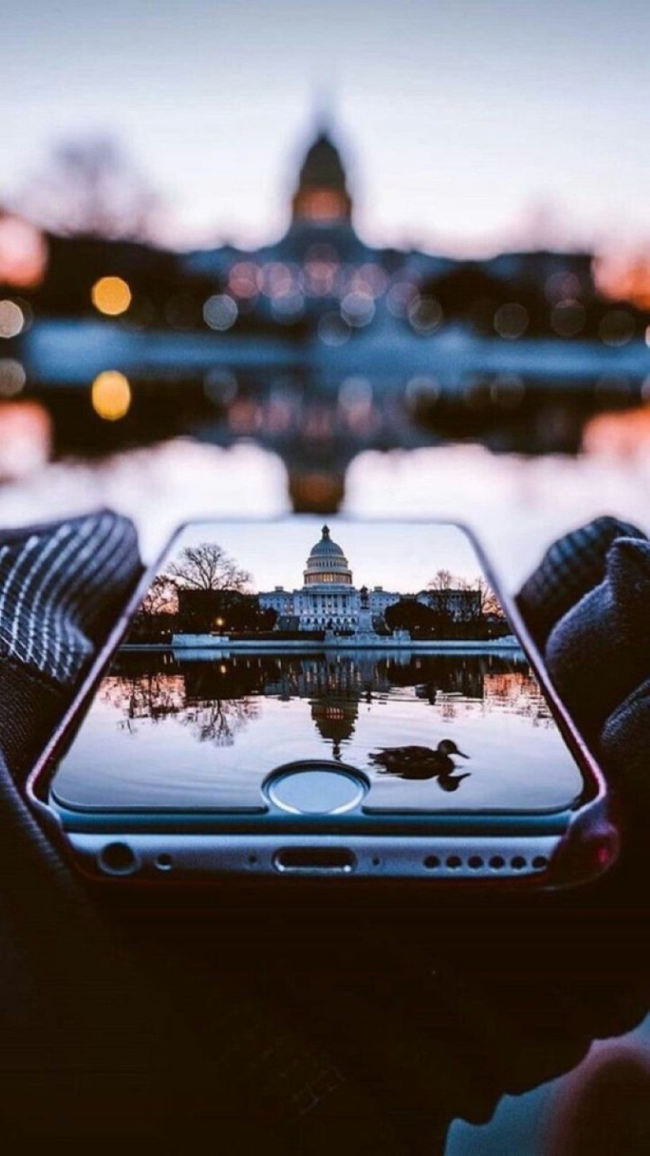 Photography iPhone Wallpaper