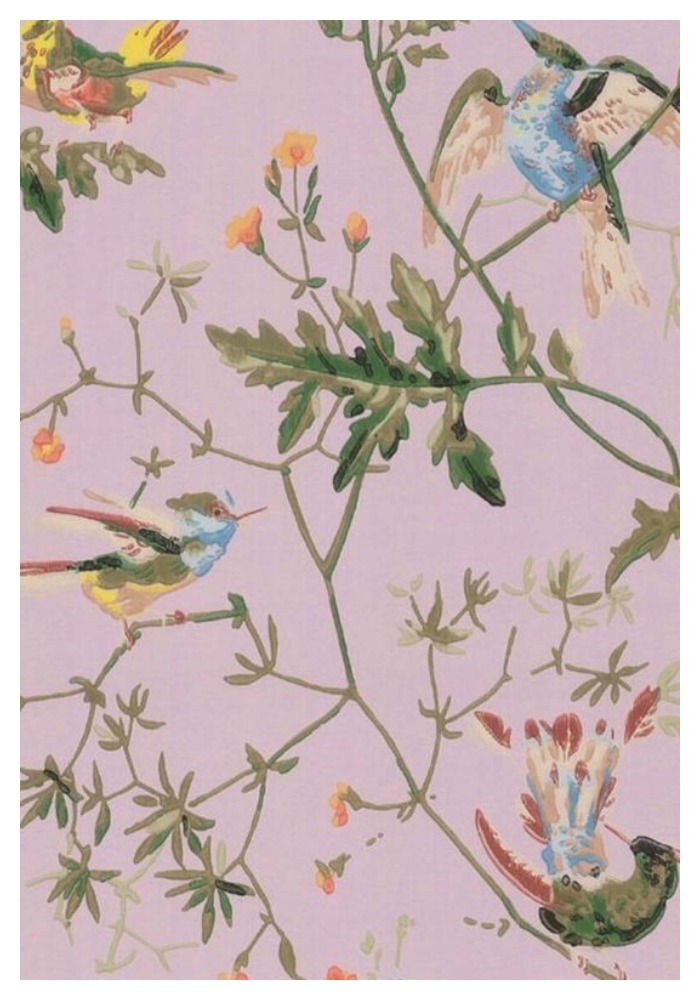 Hummingbird By Cole And Son From Natty Polly