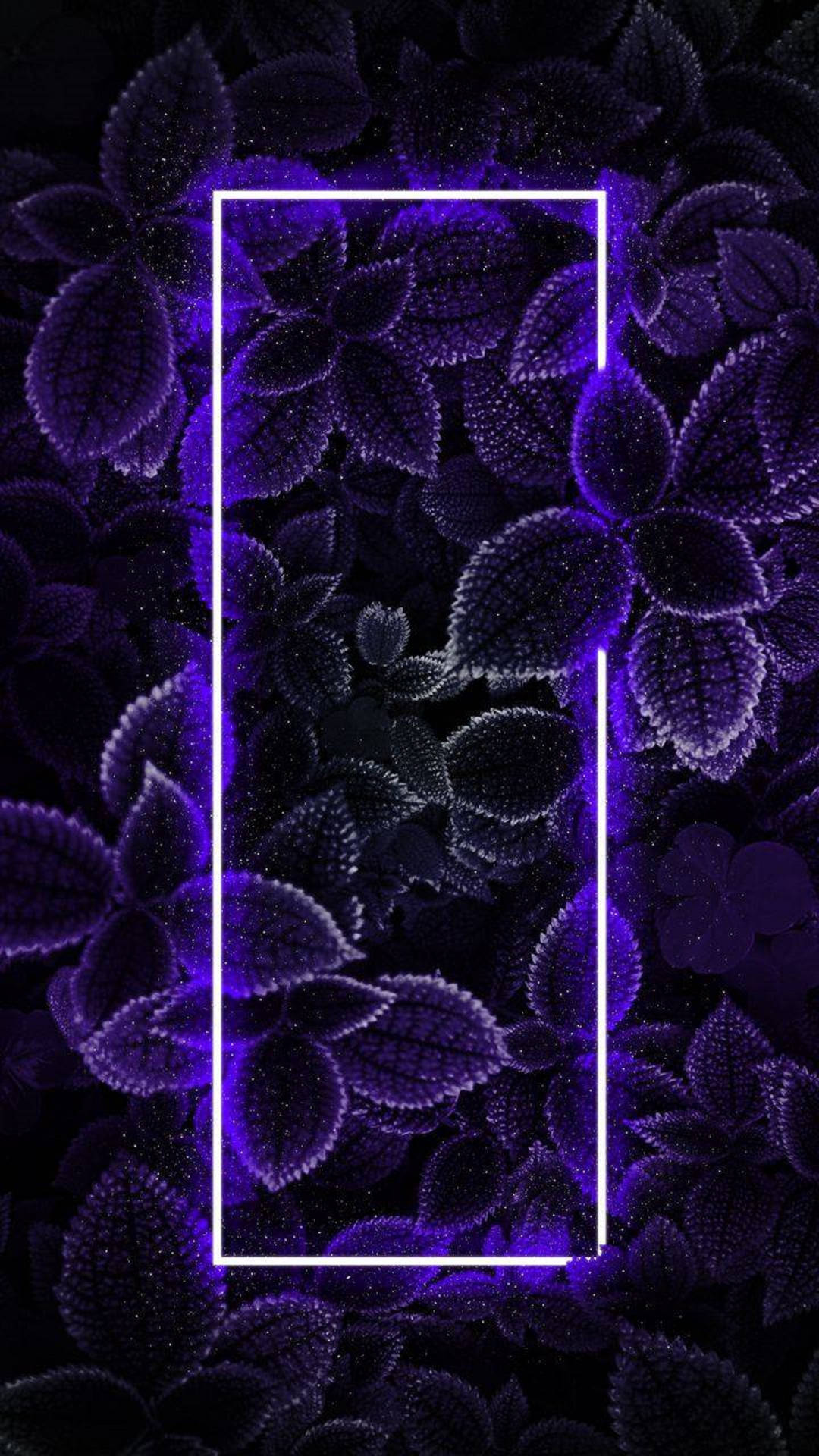 Top 4k Neon iPhone Wallpaper Full HD To Use