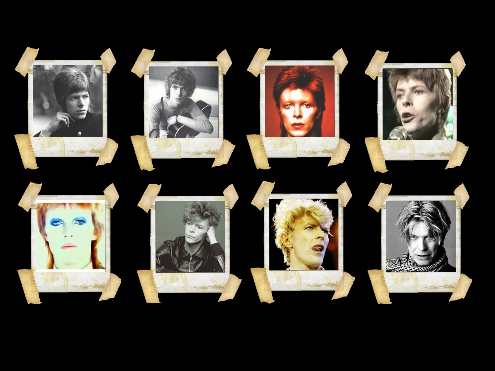 71 David Bowie Wallpaper  WallpaperSafari