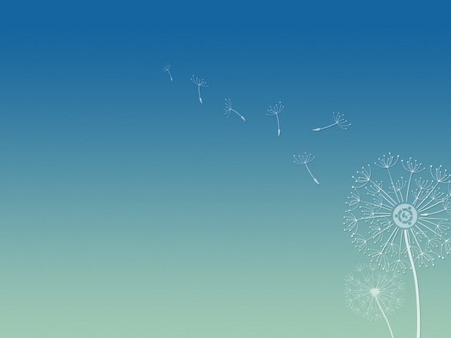 Dandelion seeds background Ubuntu wallpapers and images