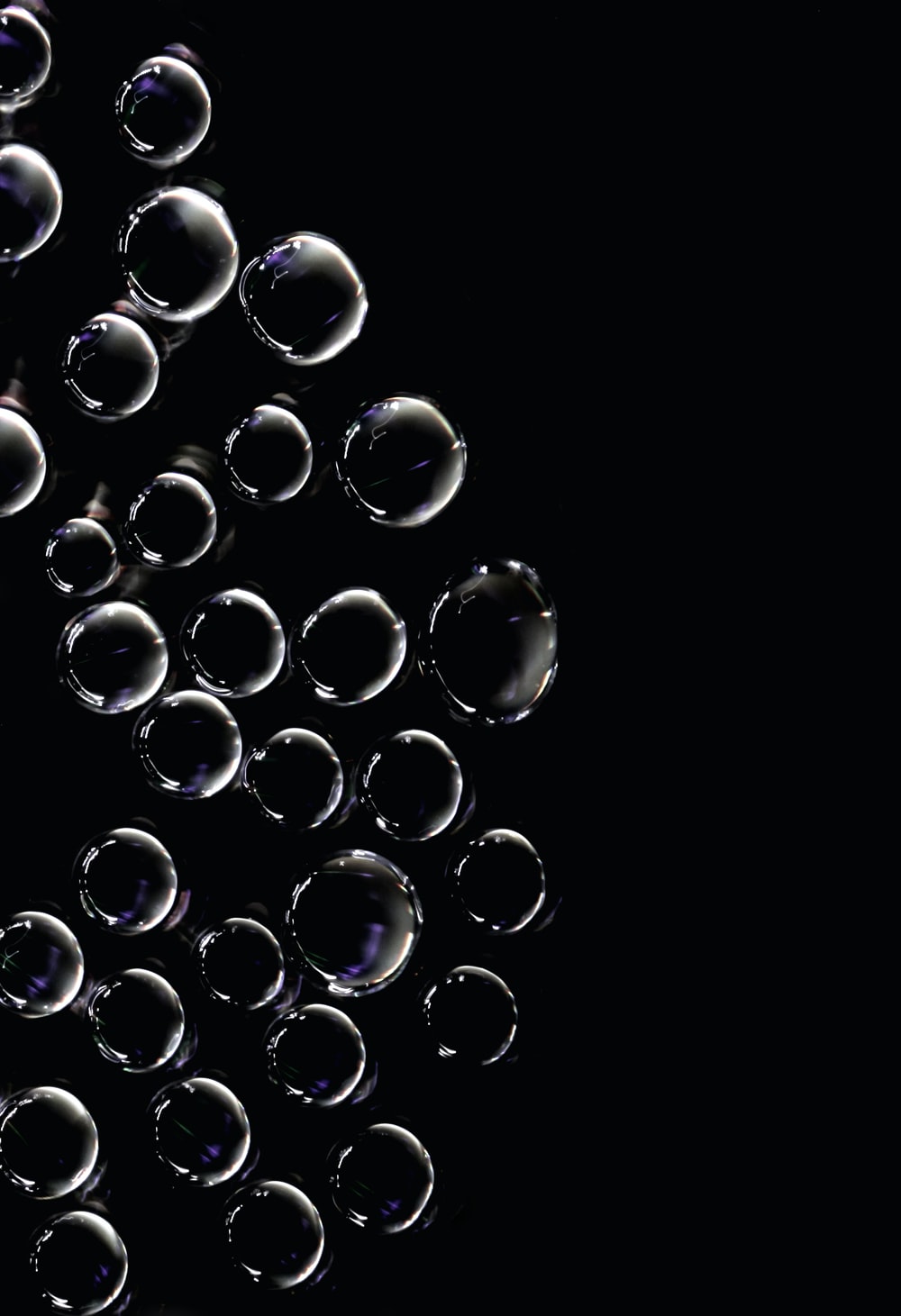 Black And White Bubbles Wallpaper Photo Bubble Image On