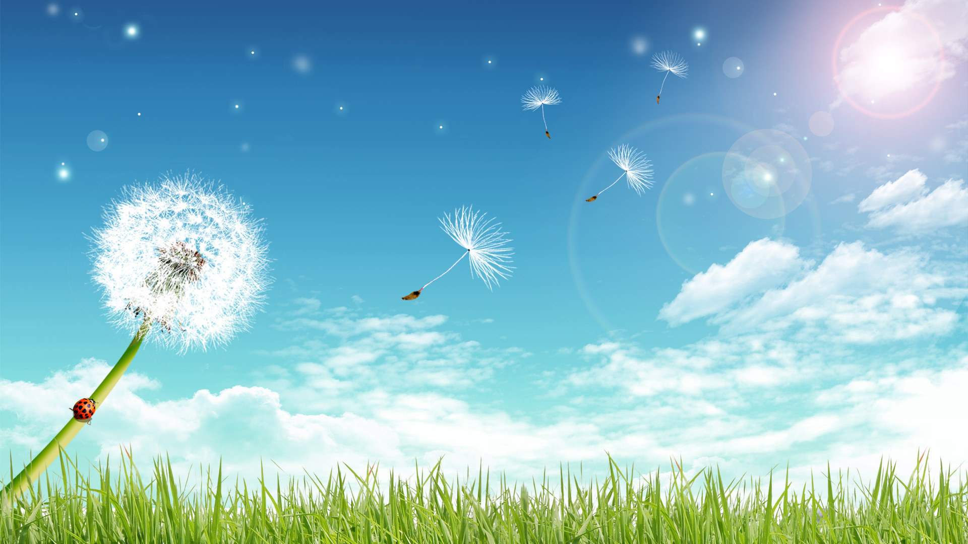 What Is Hypnotherapy Therapy How Can It Help