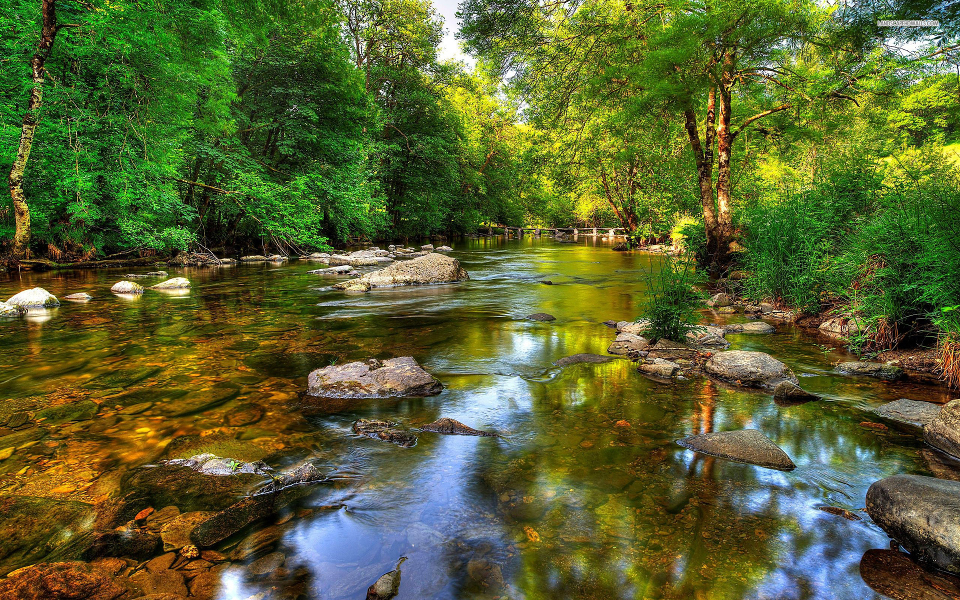 Clear River Forest Rocks Desktop Pc And Mac Wallpaper