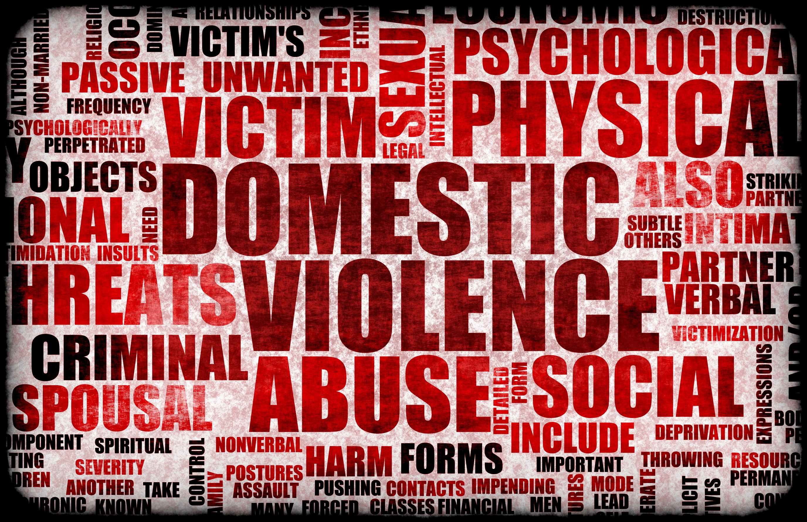 Coalition For Family Harmony Domestic Violence