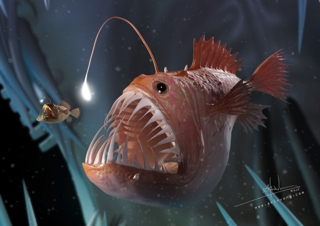 HD Angler Fish Wallpaper