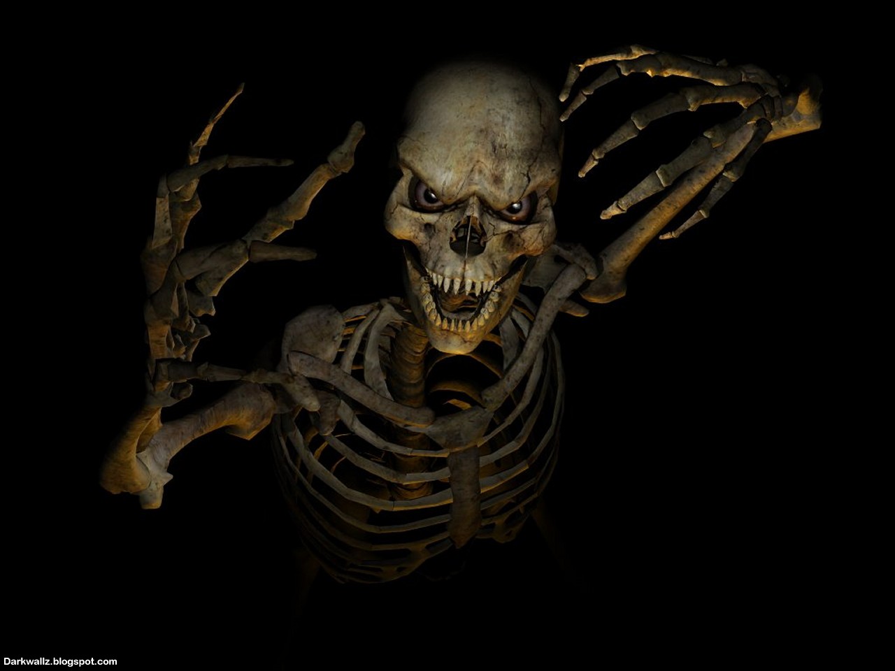 1319339 Dark Skull 4K  Rare Gallery HD Wallpapers