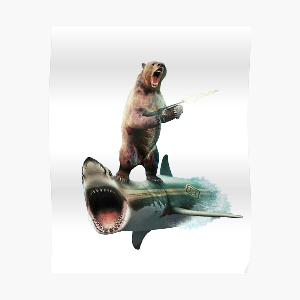 Bear Surfing On Shark Sticker By Nowukkasmate