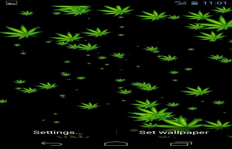 Phone Weed Wallpaper Leafs HD