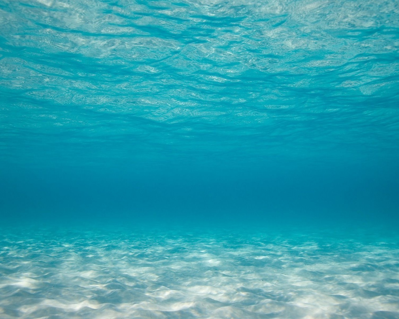 Under Ocean Wallpaper - WallpaperSafari