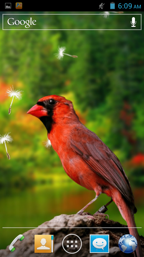 3d Birds Live Wallpaper Android Apps On Google Play