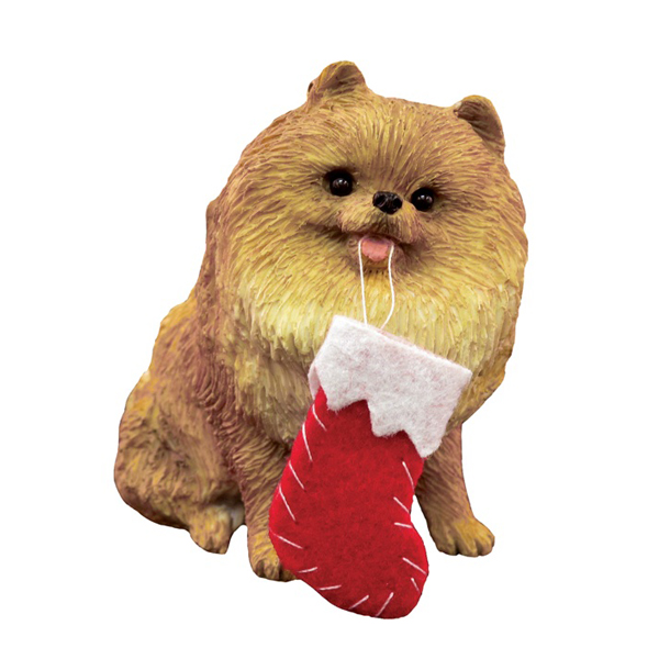 Boo Pomeranian Christmas Search Pictures Photos