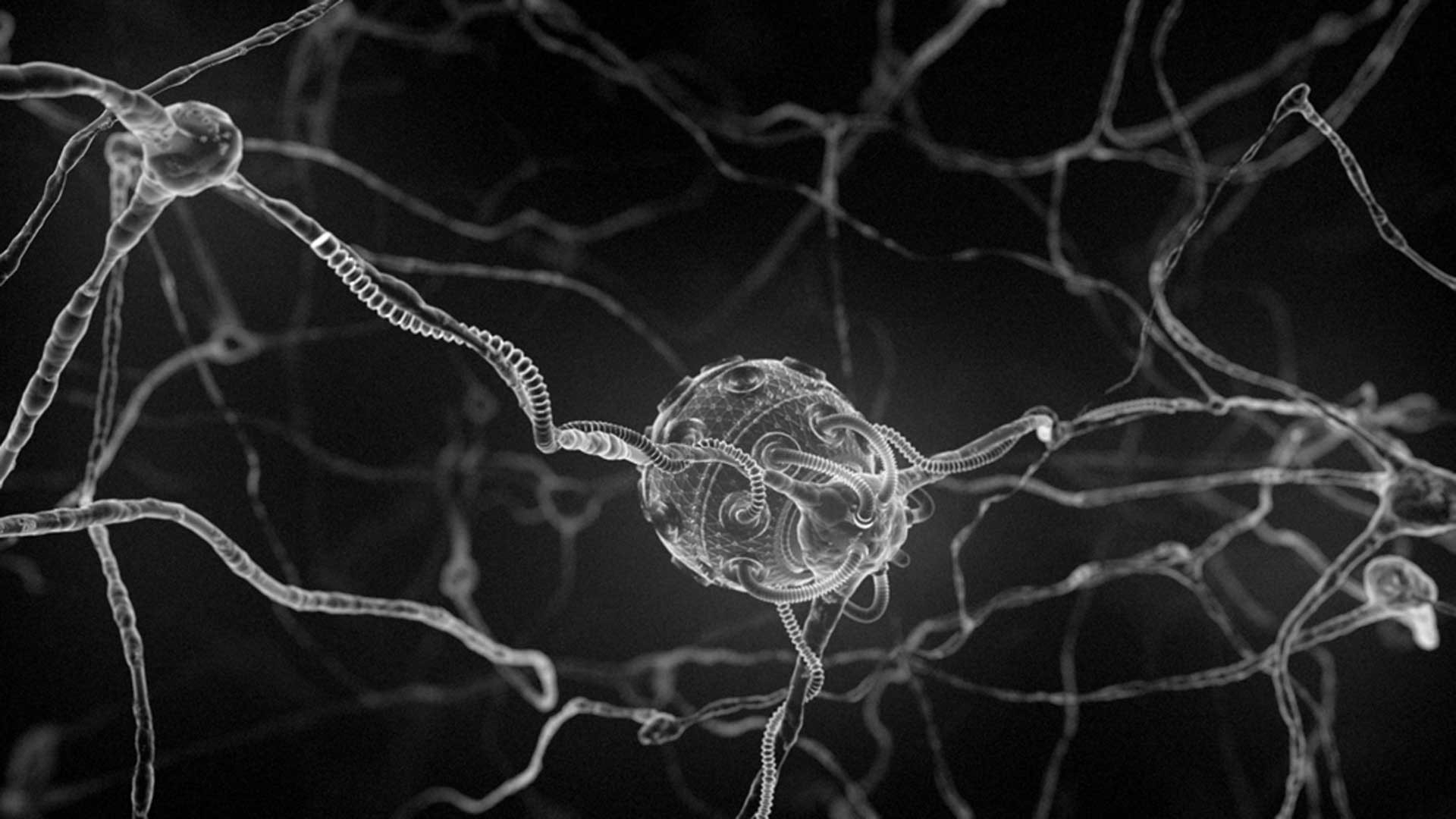 digital art microscopic nerves cg anatomy human wallpaper background