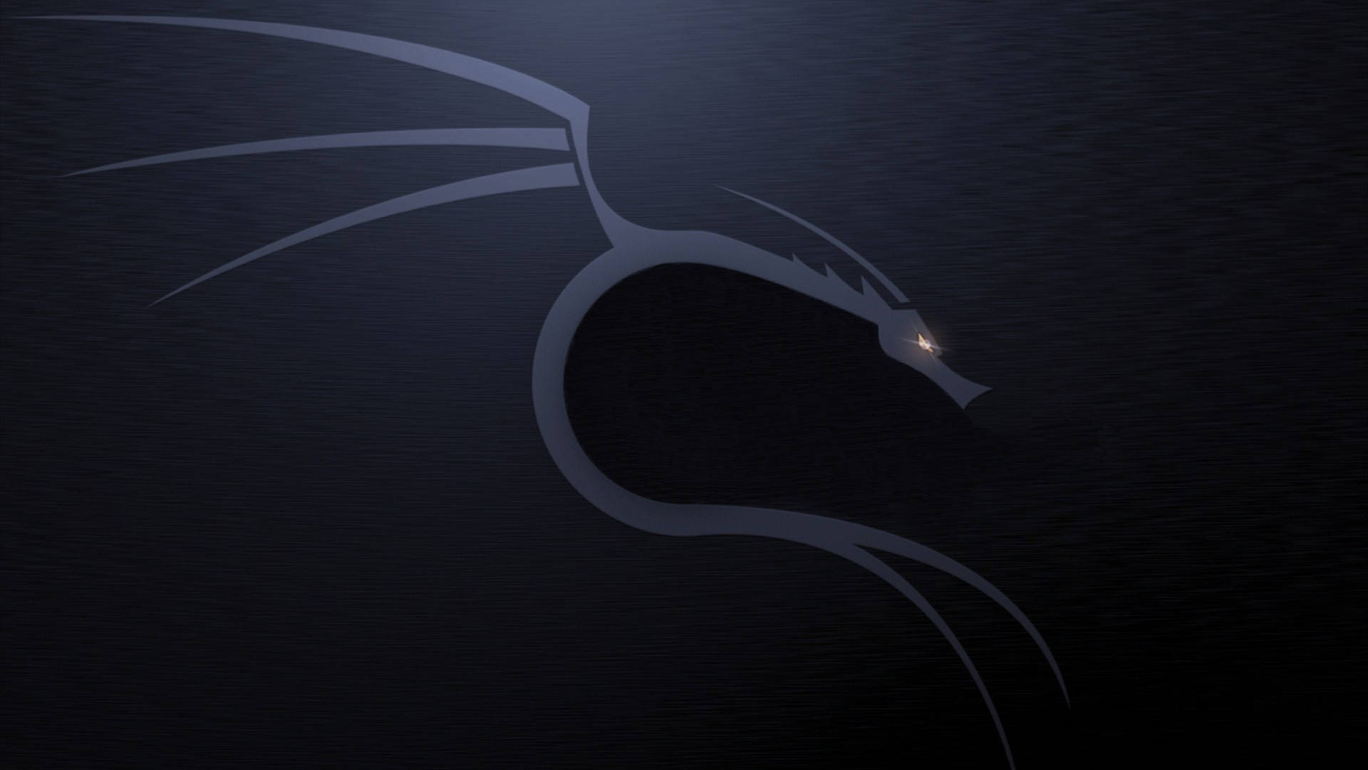 Kali Linux Os Dragon Grey 6yb1clh9tv6wa0jn Wallpaper