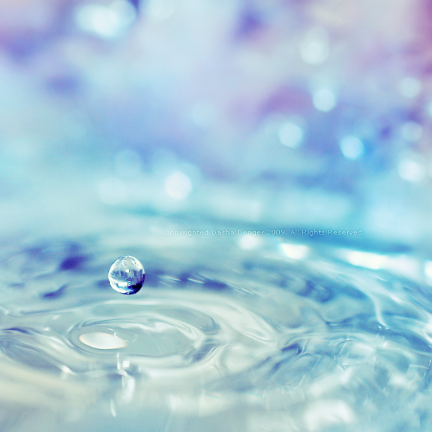 Beautiful Water Drops Macro Photography Designzzz