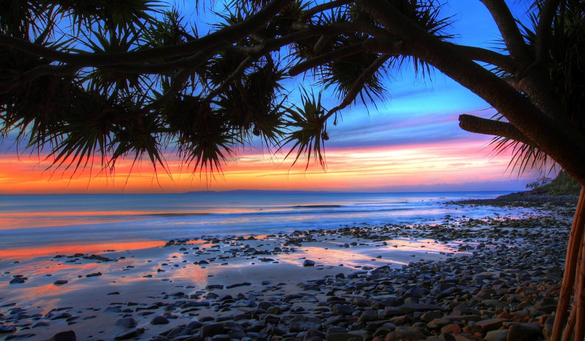 A vibrant sunset over a rocky beach, viewed through the silhouette of pandanus trees