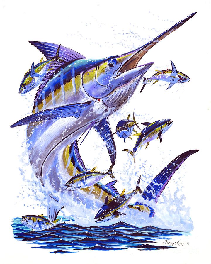 Blue Marlin By Carey Chen Fish Artwork