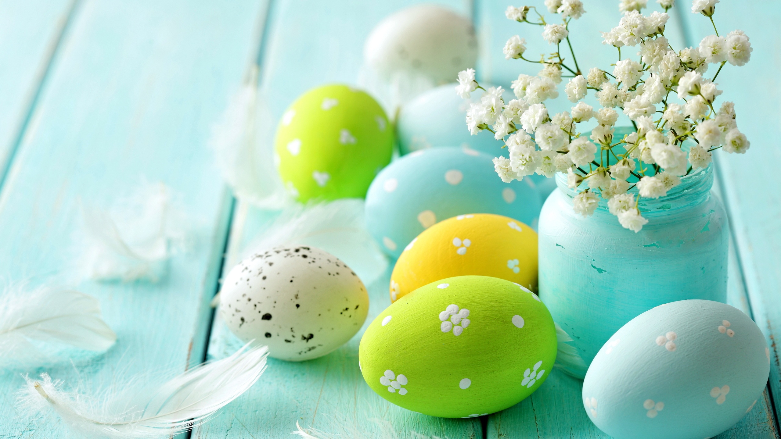 Easter Spring Blue Eggs Flowers 2560 x 1440 Download Close