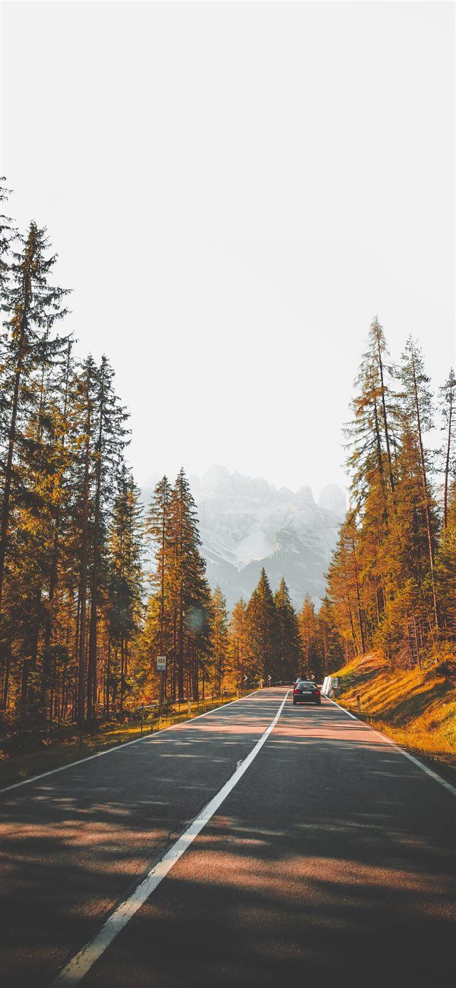 South Tyrol iPhone X Wallpaper Nature Street Outdoor