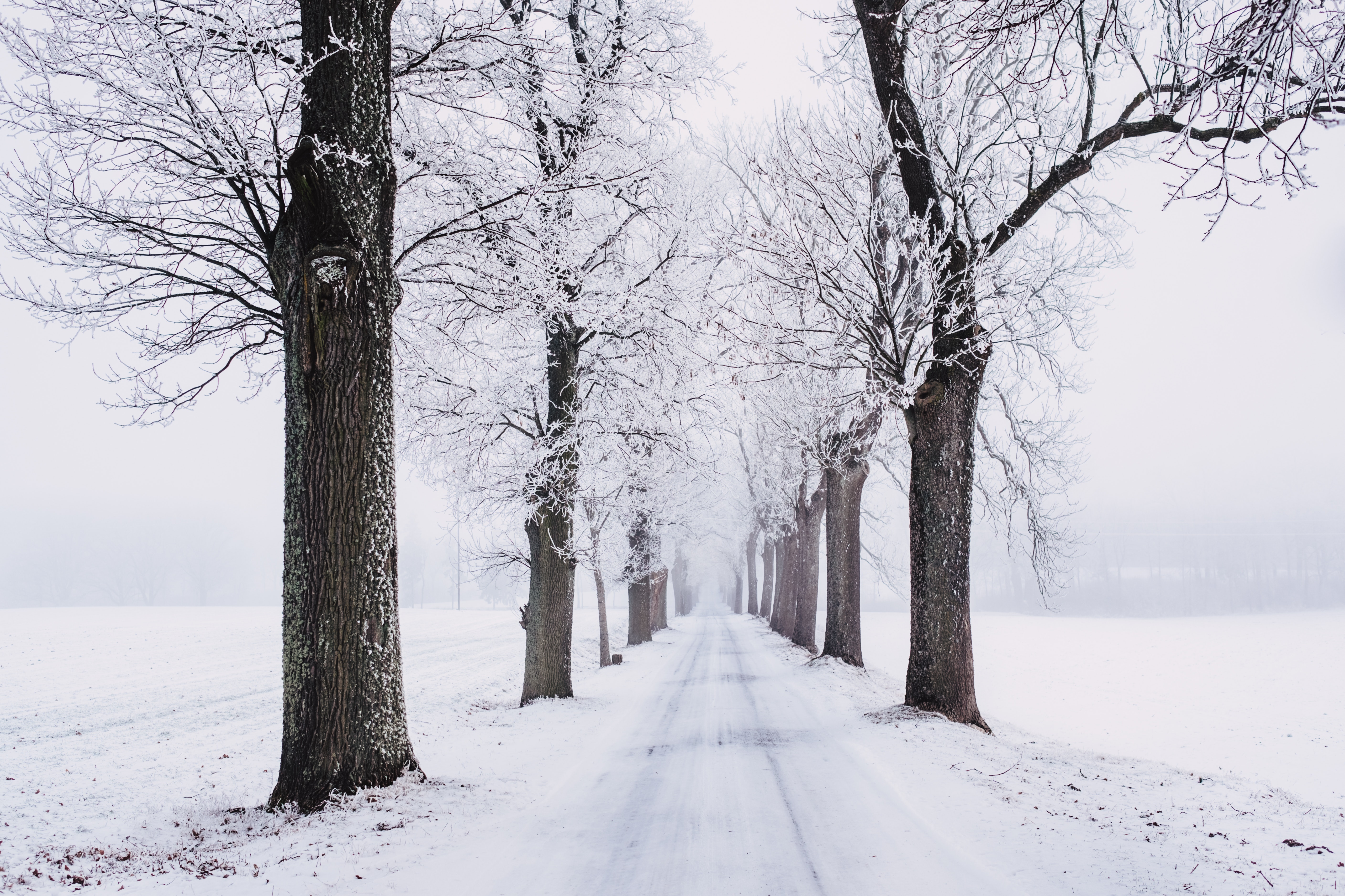 2winter nature path wallpapers Collection