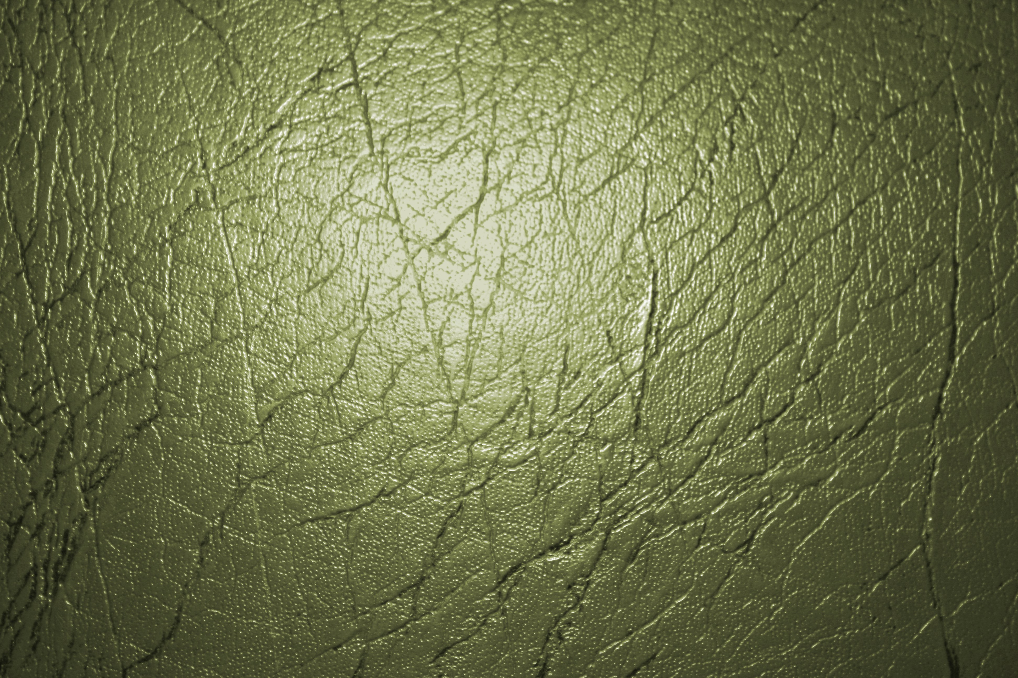 Olive Green Leather Texture Picture Photograph Photos Public