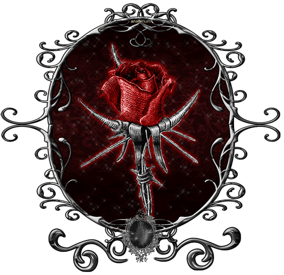 Bloody Rose Poem Image Pictures Becuo