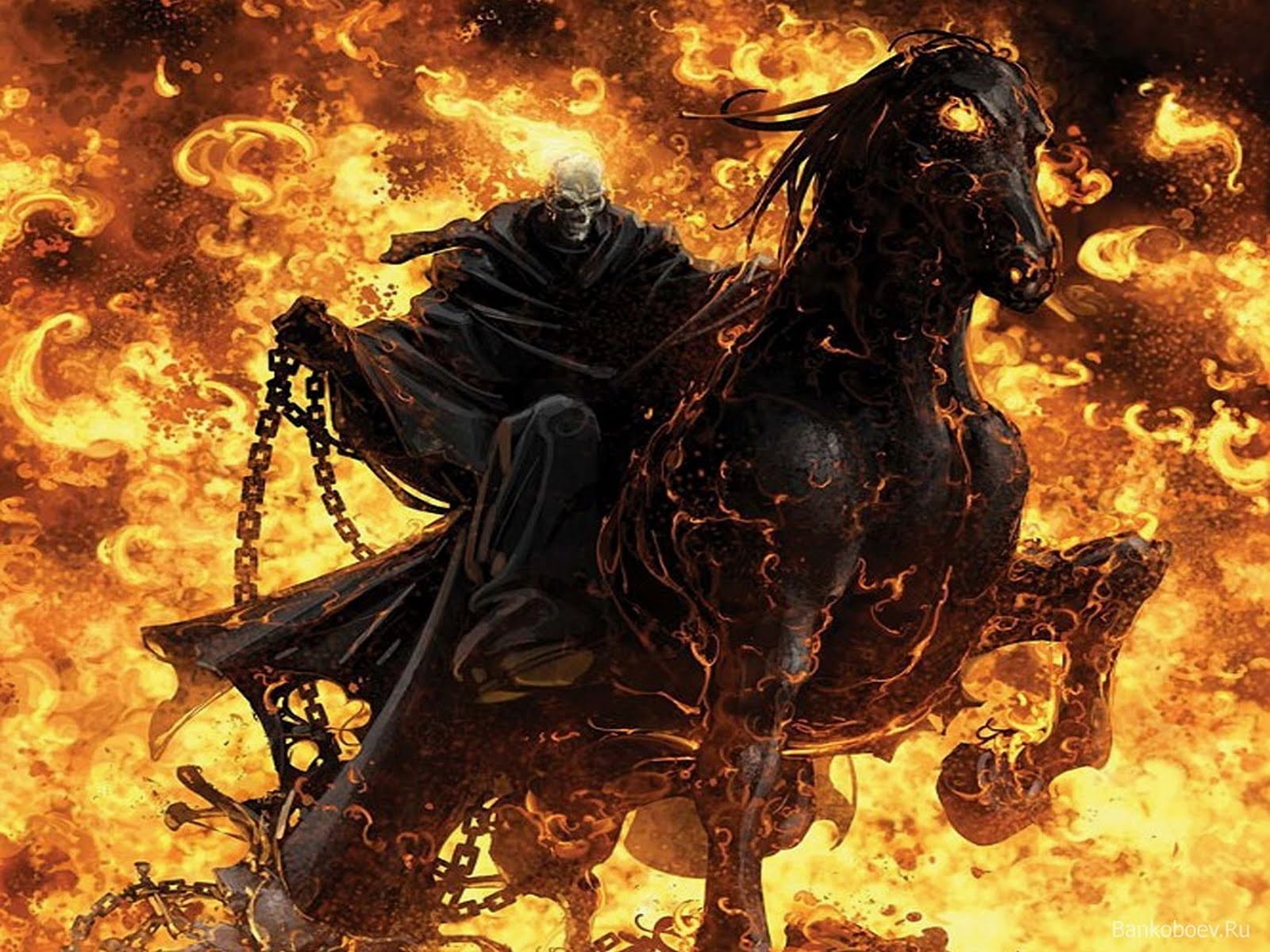 Ghost Rider ghost rider fire skull 1600x1200jpg