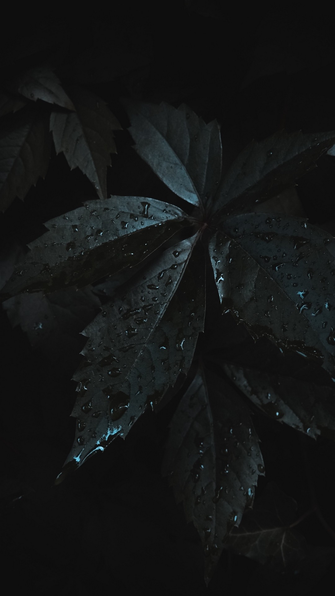 Dark iPhone Wallpaper