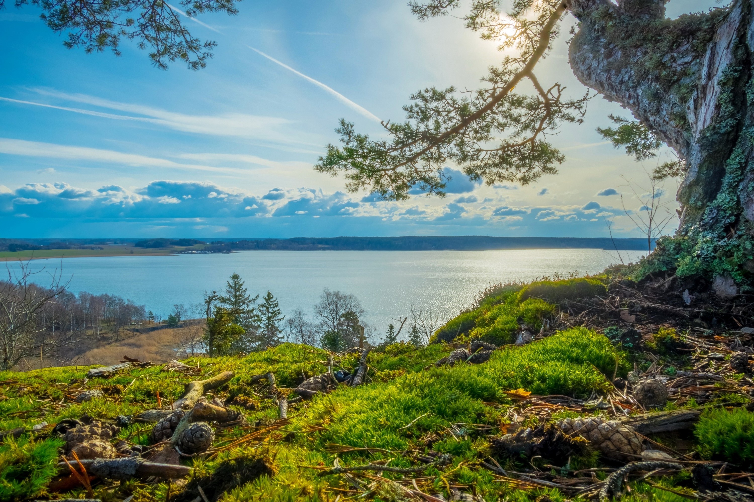 Nature Landscape Summer River Trees Grass Clouds Sunlight