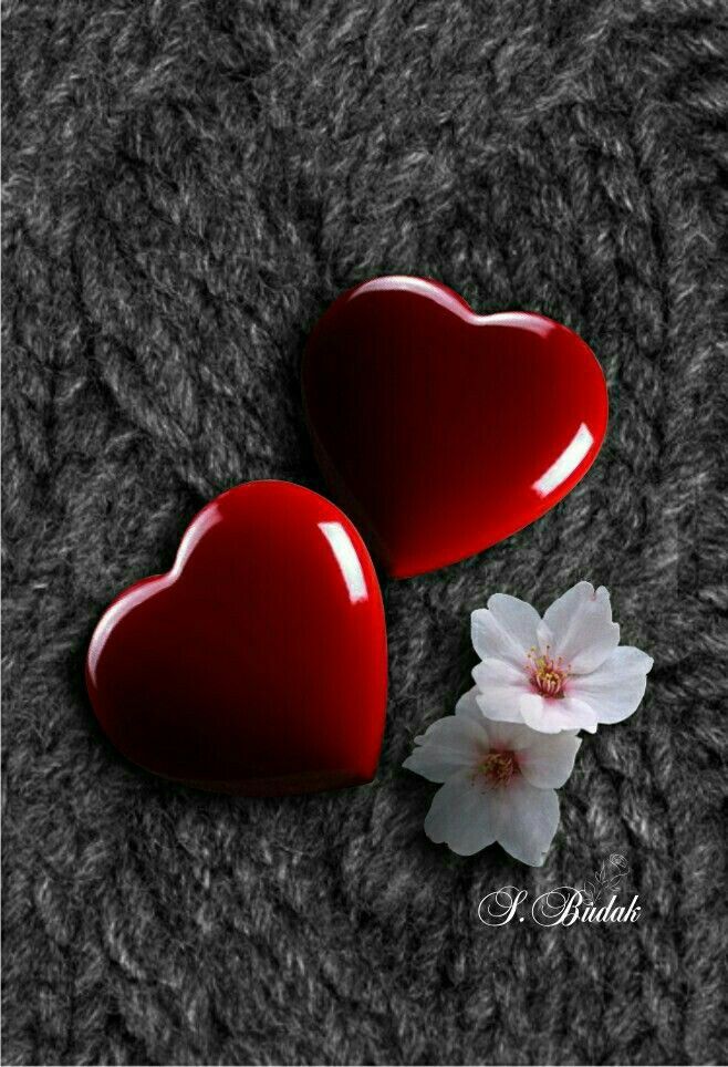 Narita Taweevittayakul On Relationship Love Heart Image