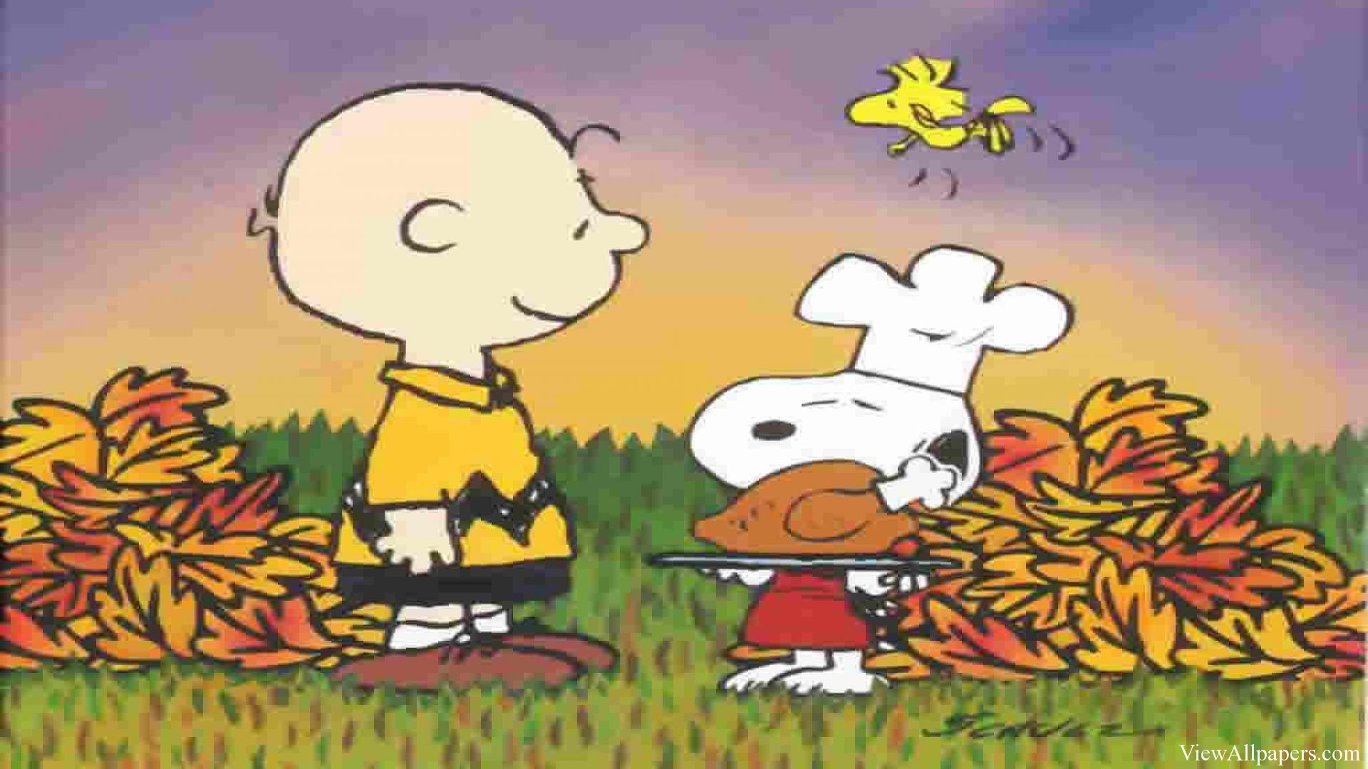 Charlie Brown Thanksgiving Desktop Wallpaper WallpaperSafari.