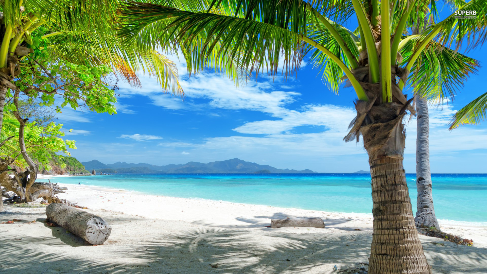 Tropical Beach HD Wallpaper Desktop Background For