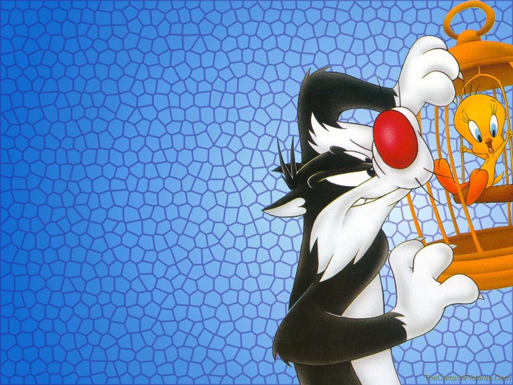 Sylvester Wallpaper Picture
