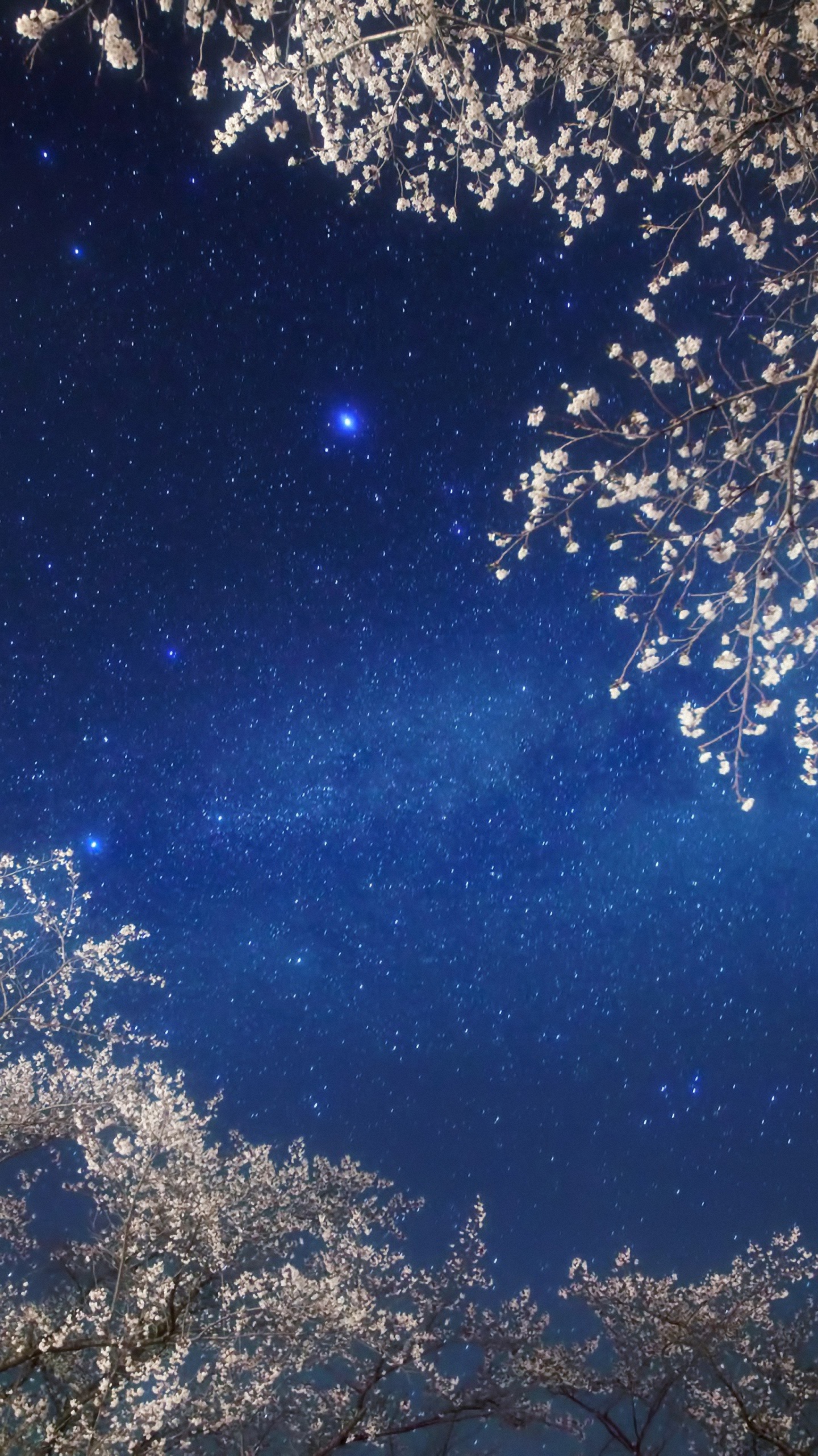 HD Light Night Sky Star Samsung Galaxy S6 Wallpaper