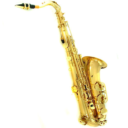 Tenor Saxophone Ts01l China Alto