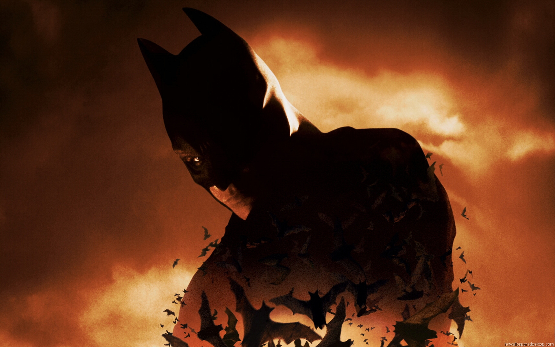Batman Begins Wallpaper Movie Desktop Background Pictures