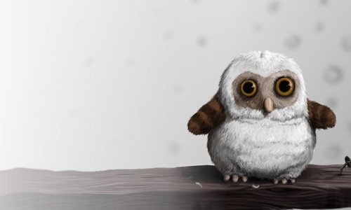 Baby Illustration Hi Res Owl Wallpaper