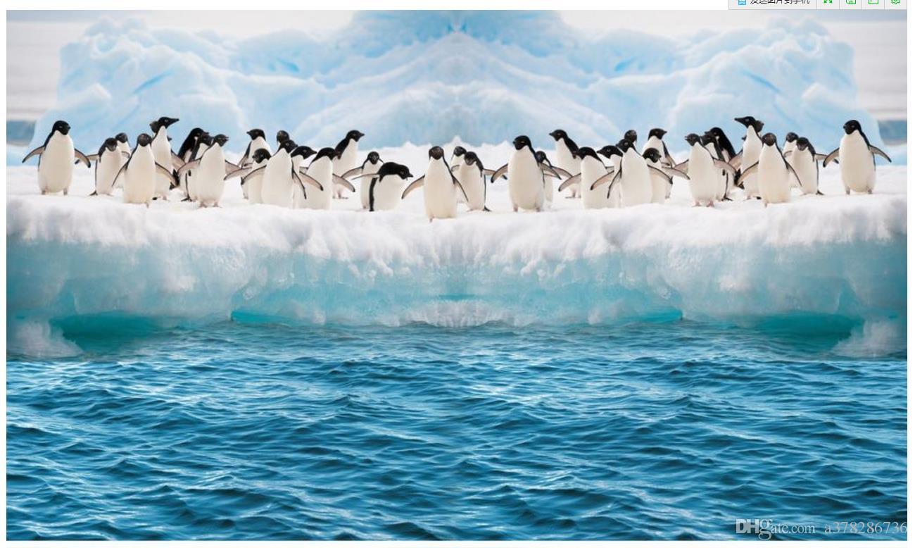 3d Photo Wallpaper Custom Wall Murals Mural Penguins