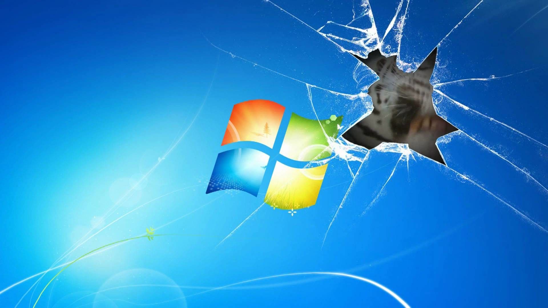 Animated Wallpaper On