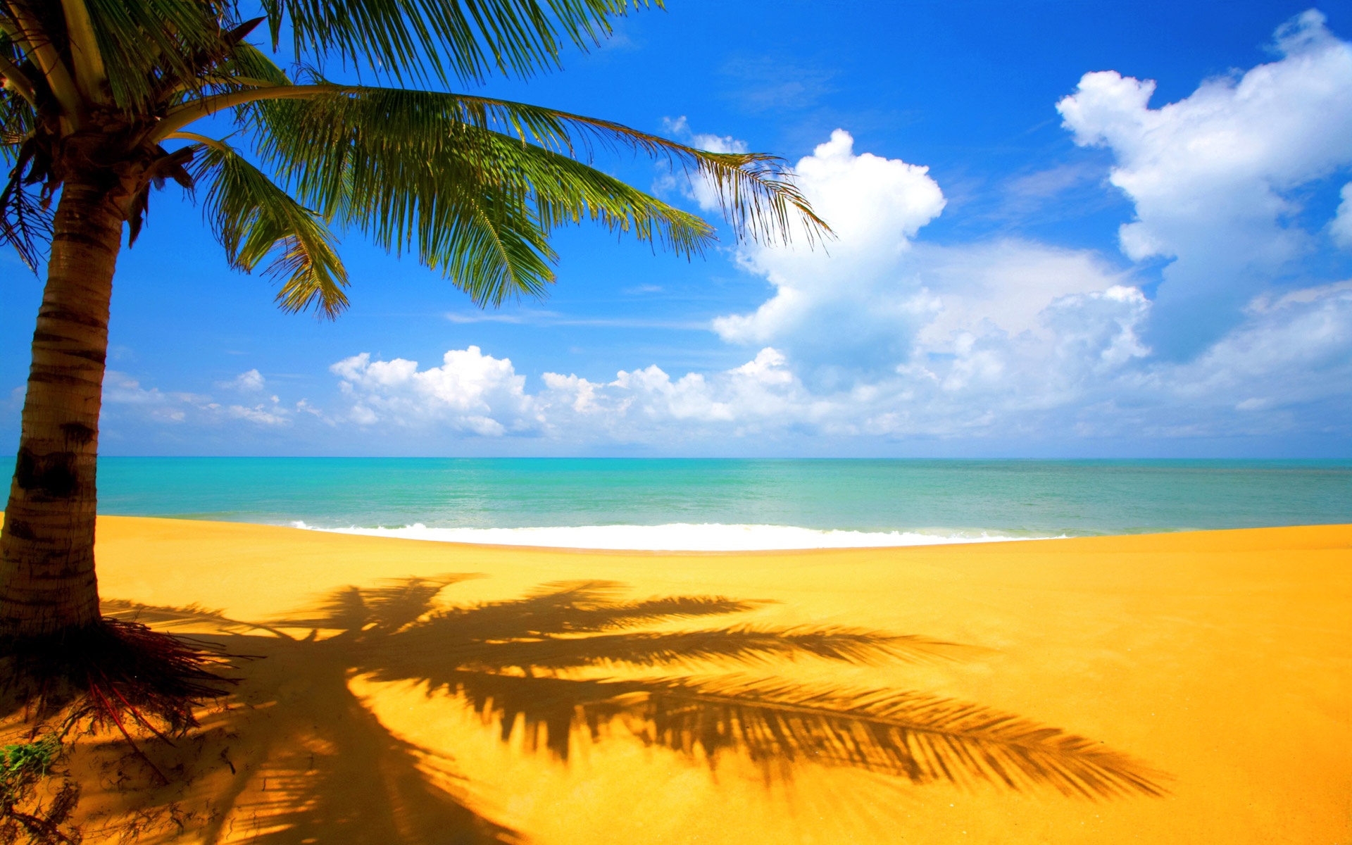 Sunny Beach Desktop Background