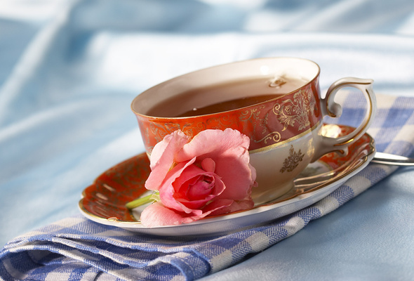 Wallpaper Cup Tea Rose Flower Desktop Other Goodwp