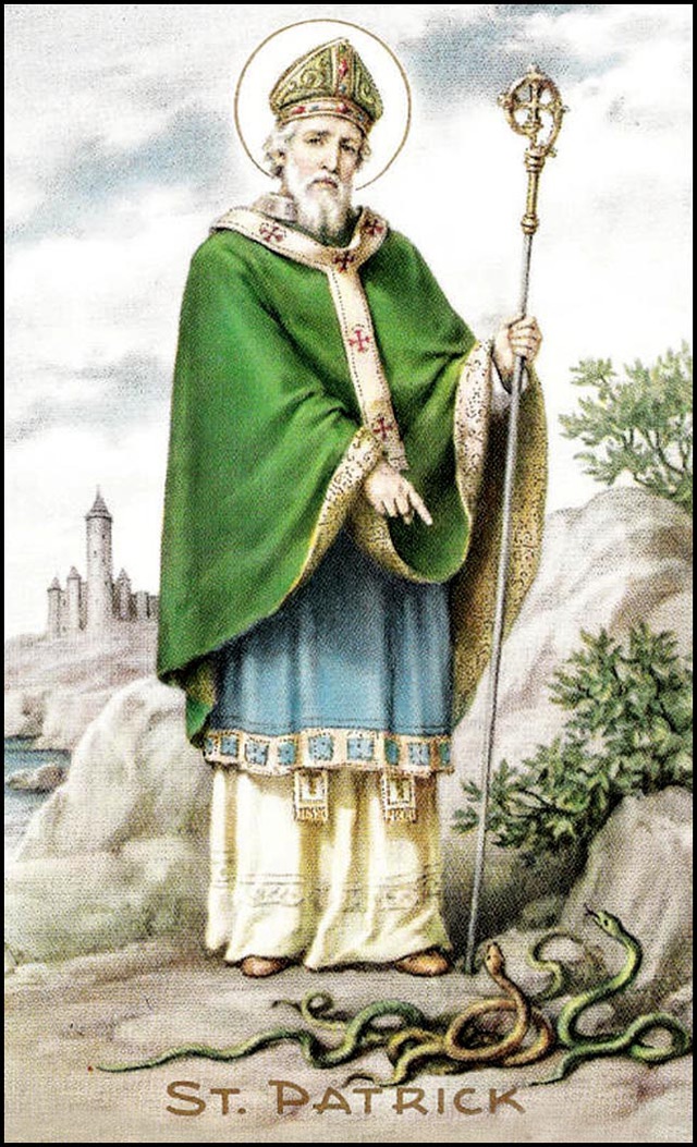 Vintage Saint Patrick S Day Postcard Woman With Green Parrot And Irish