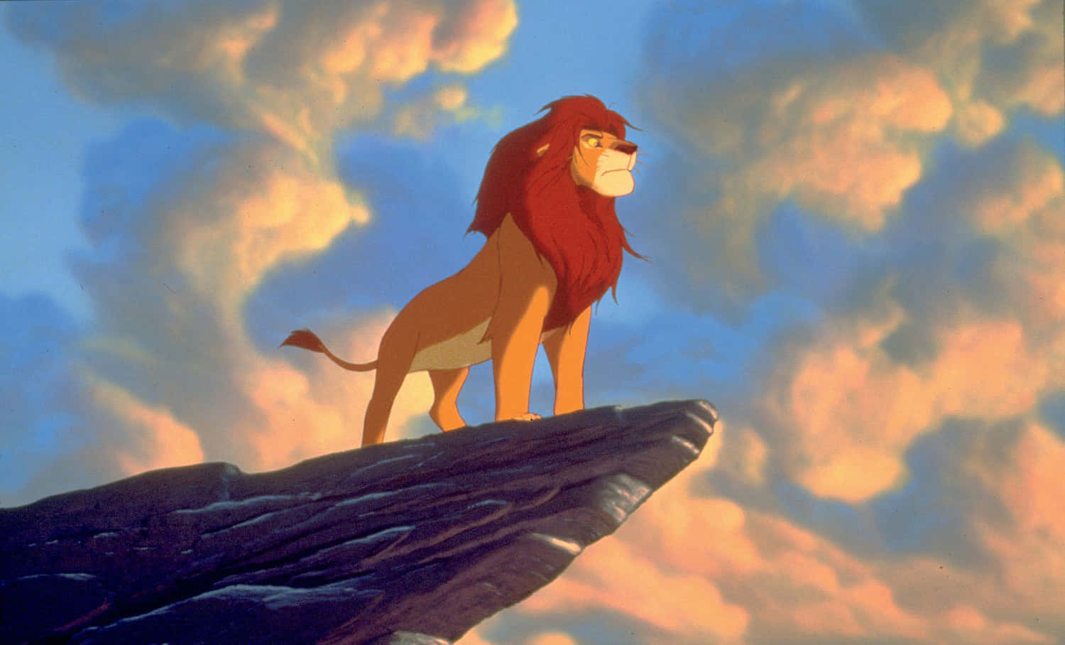 Lion King Picture Wallpaper